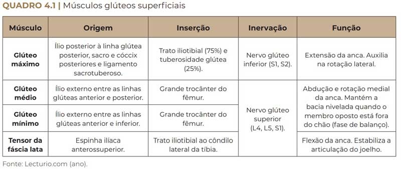 tabela dos Músculos Glúteos Superficiais