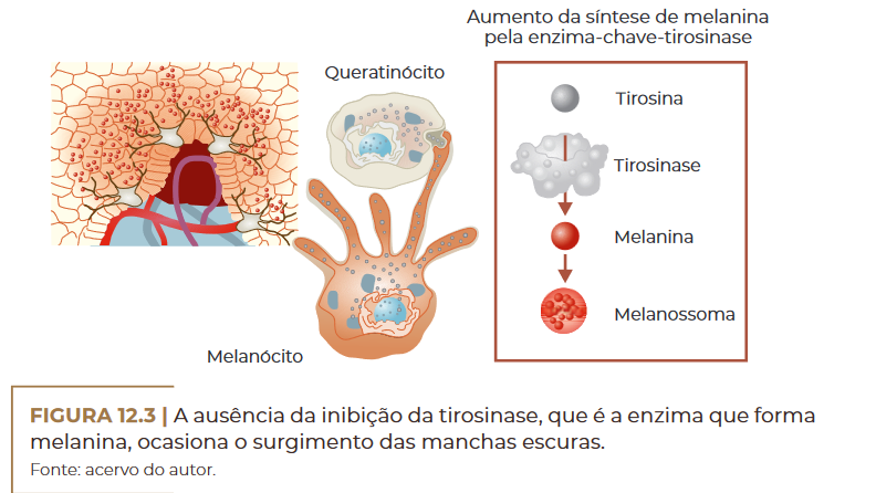 ausência da inibição da tirosinase