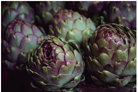 ARTICHOKE