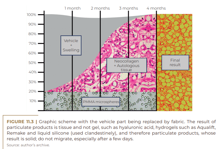  Graphic scheme with the vehicle part being replaced by fabric