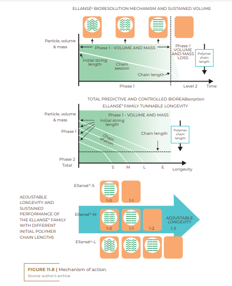  Mechanism of action